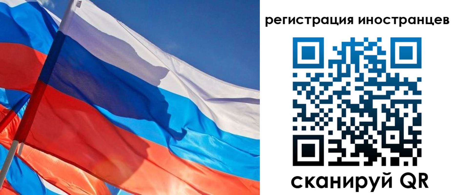 прописка для школы в Курске