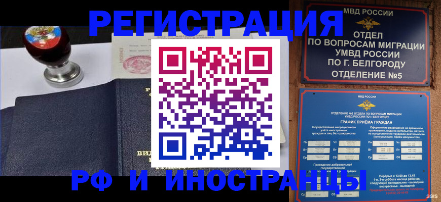 временная регистрация поиск в Курске